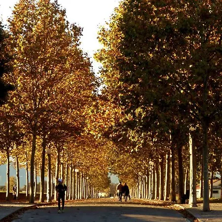 Agriturismo Il Leopoldino * Ripafratta