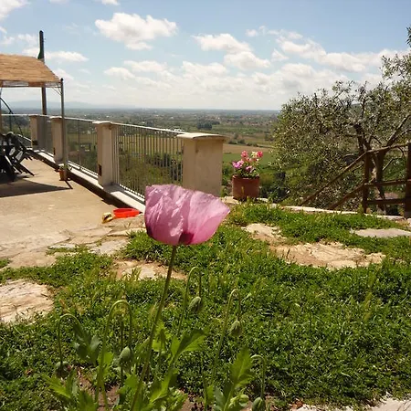 Agriturismo Il Leopoldino