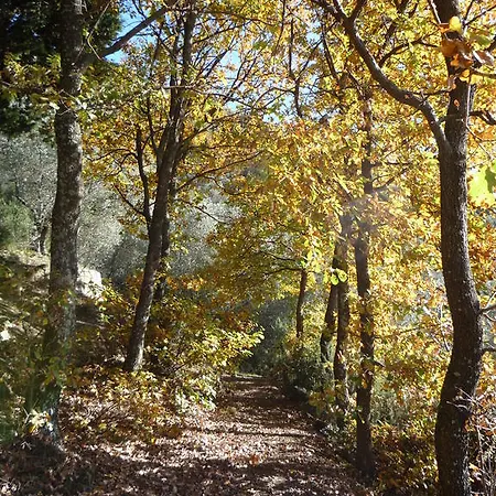 Agriturismo Il Leopoldino Ripafratta