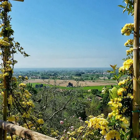 Agriturismo Il Leopoldino * Ripafratta