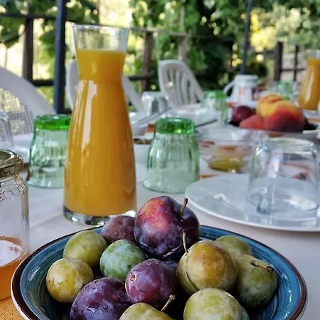 Farm stay Agriturismo Il Leopoldino *