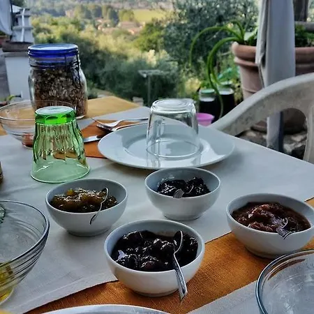 Agriturismo Il Leopoldino Farm stay Ripafratta