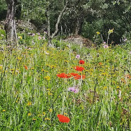 Agriturismo Il Leopoldino Farm stay Ripafratta