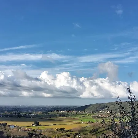 Agriturismo Il Leopoldino Ripafratta
