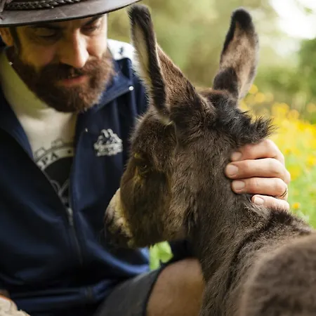 Agriturismo Il Leopoldino Farm stay Ripafratta